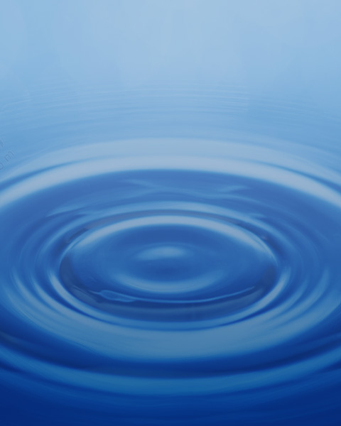 EDI WATER SYSTEM | FDA USP STANDARD