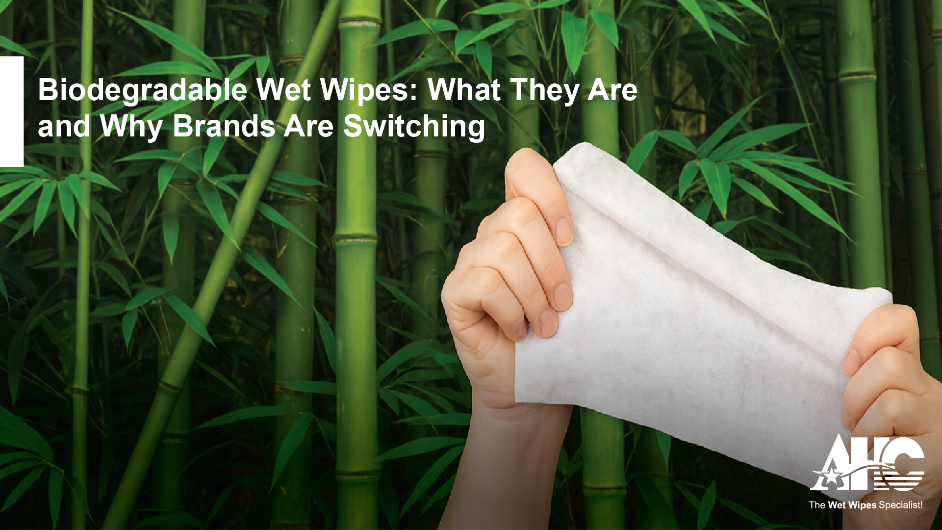 biodegradable wet wipes